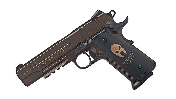 sig-sauer-1911-spartan-bb-pistol-airgun-f.jpg