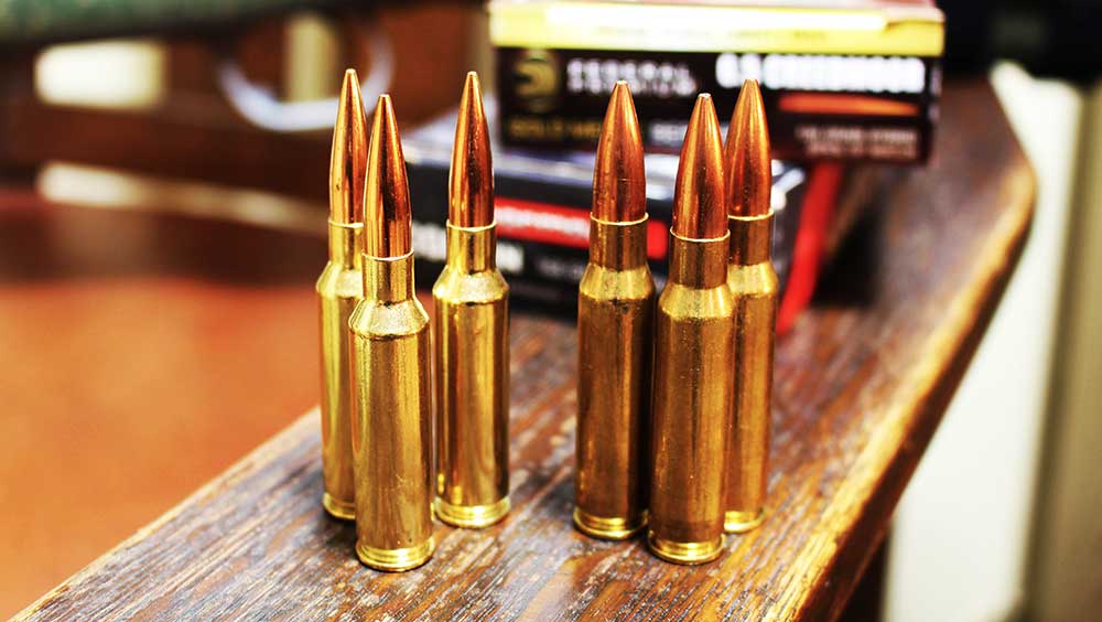 6.5 Creedmoor vs 308  Which round is the bonafided best?