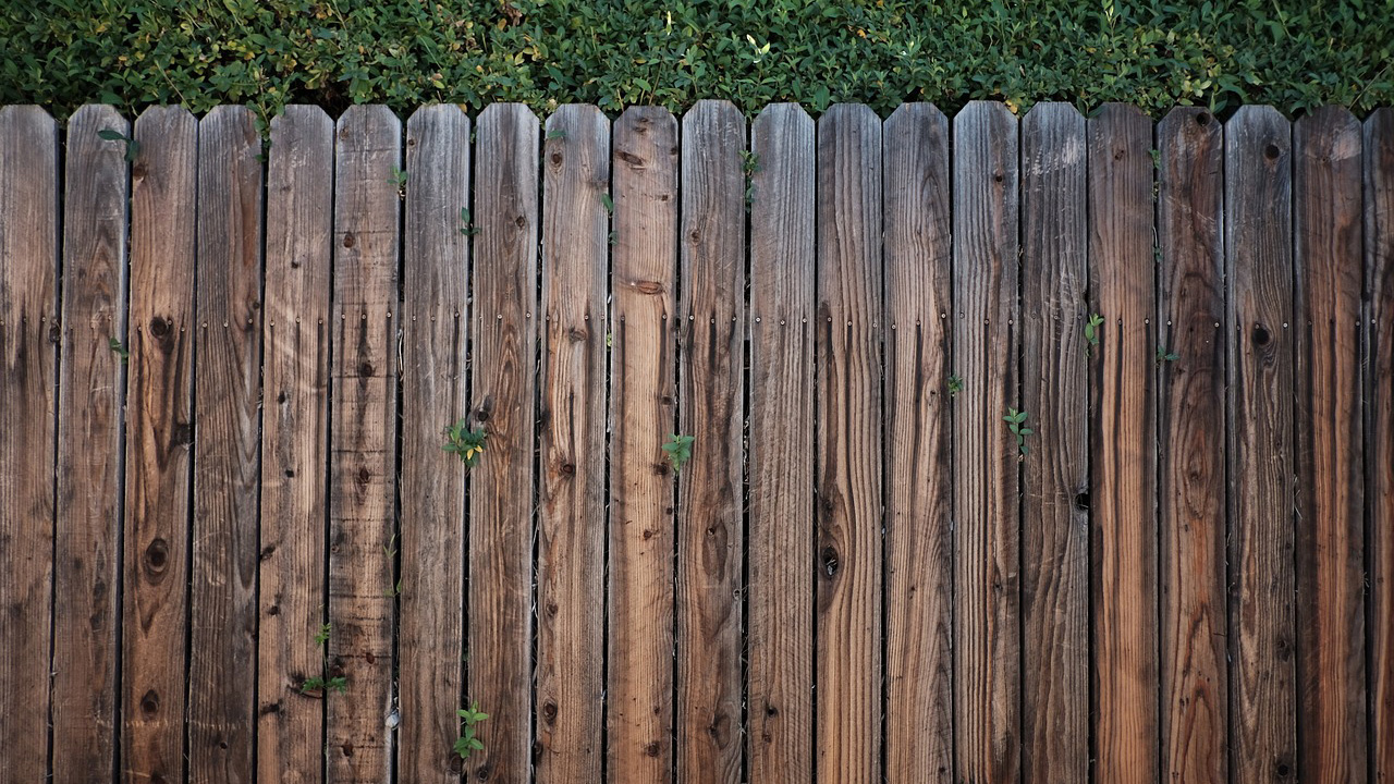 Fenced in