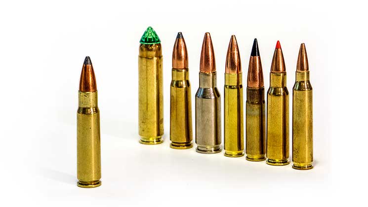 Is The .311 Escadrille The Ultimate Ar Cartridge? 