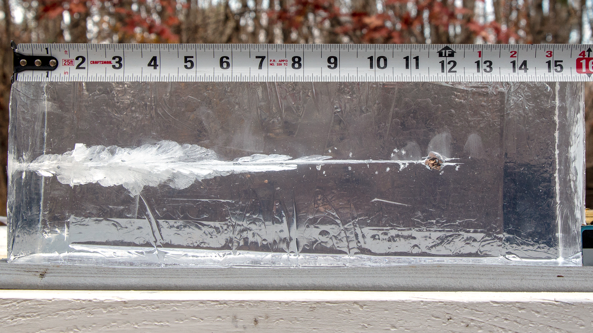Testing Home Defense Ammo for Carbines