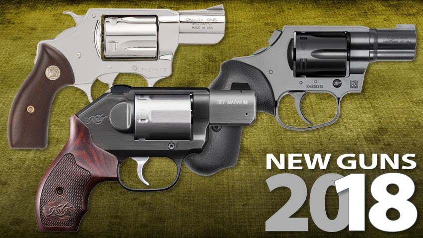 charter arms revolvers versus taurus