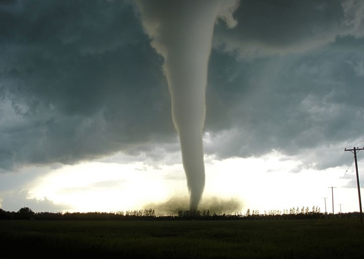 shelter-in-place.jpg (1)