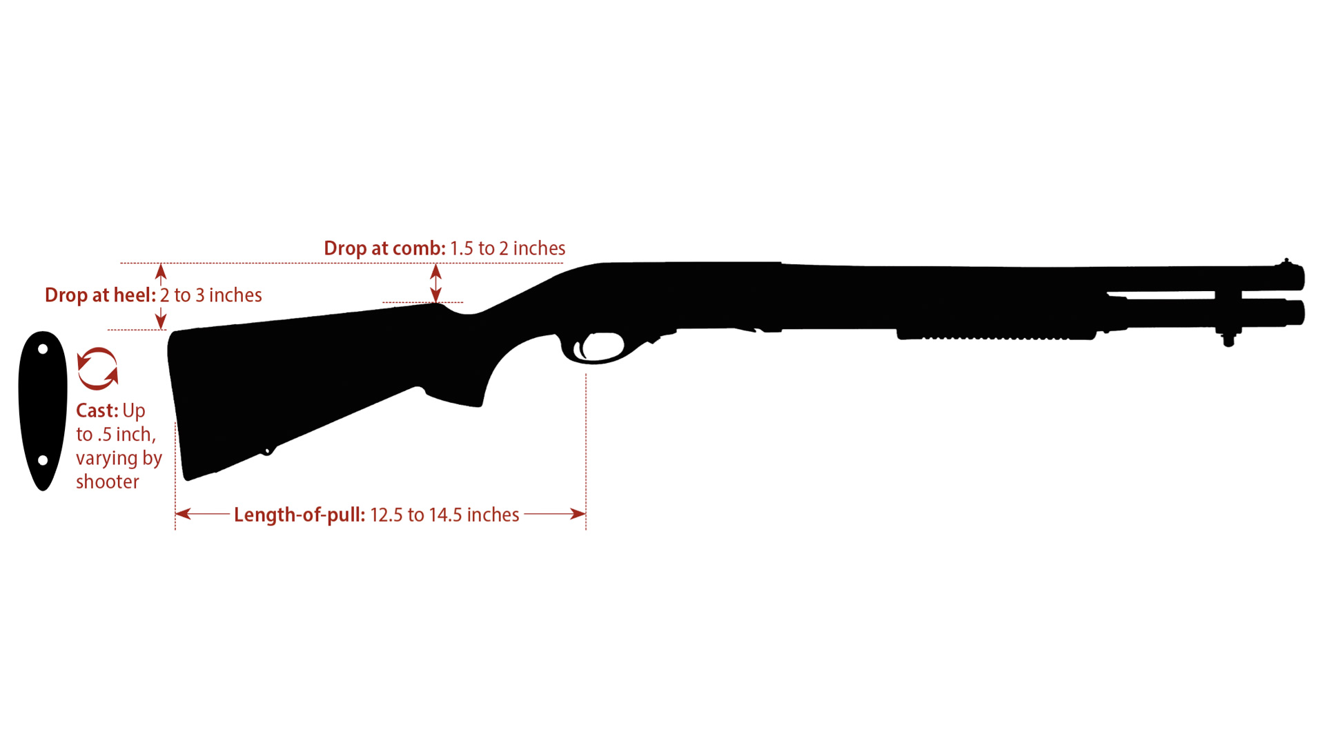 shotgun fitting diagram