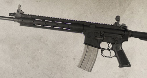 dualtrigger.jpg