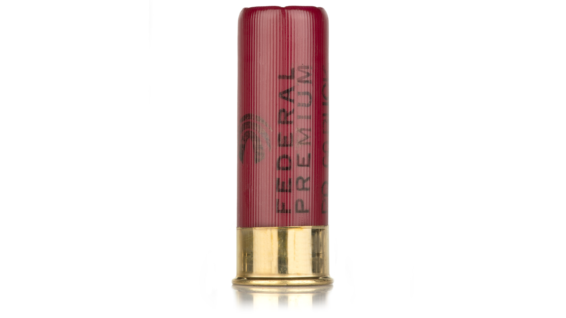 Shotgun shell