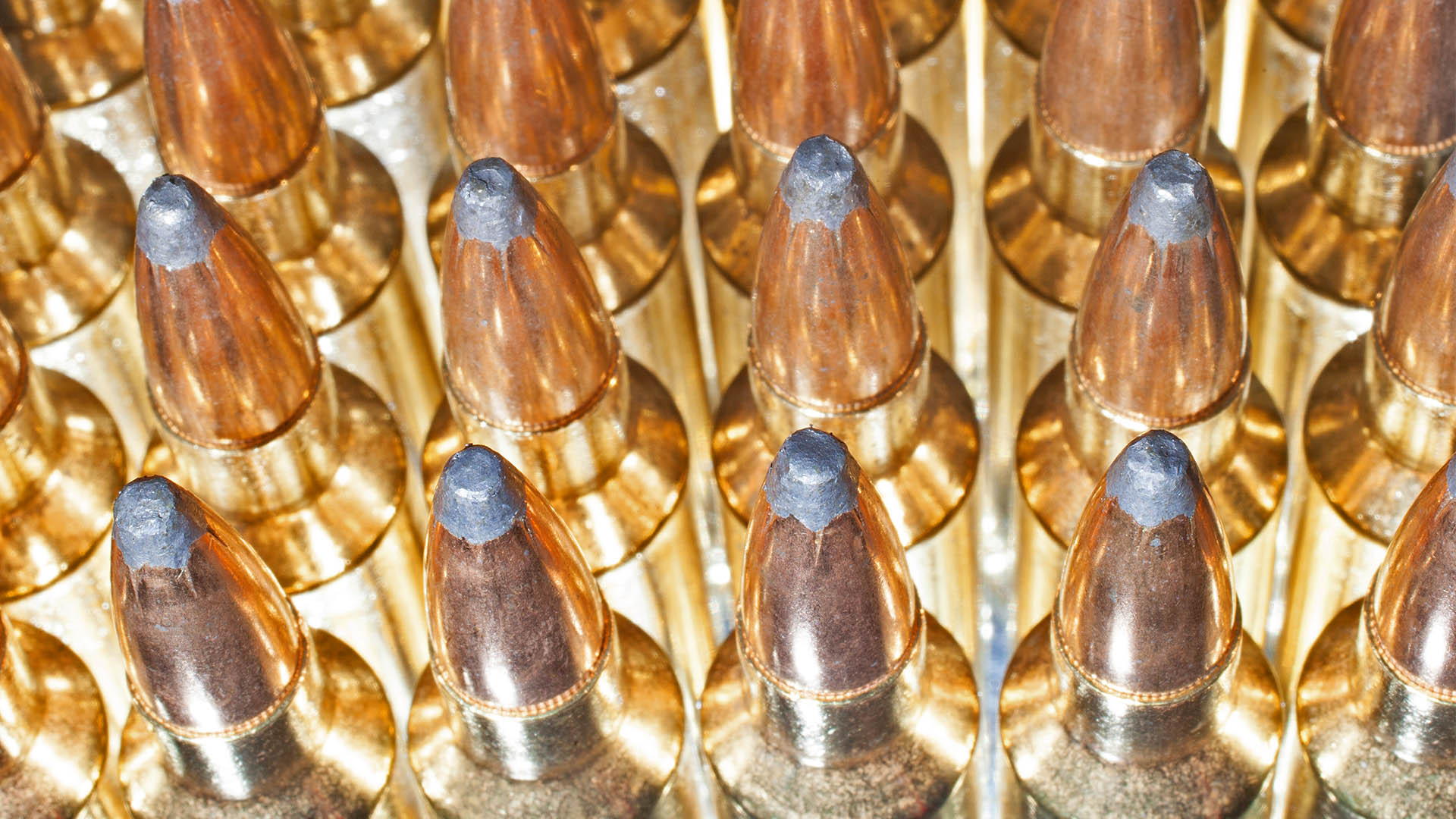 Buy Ammo Online